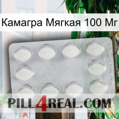 Камагра Мягкая 100 Мг 16